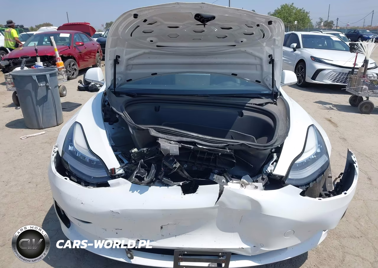 2020 Tesla Model 3 Standard Range Plus Rear-Wheel Drive-Standard Range Rear-Wheel Drive VIN:5YJ3E1EA9LF632488 - 11