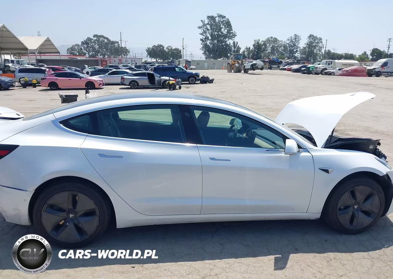 2020 Tesla Model 3 Standard Range Plus Rear-Wheel Drive-Standard Range Rear-Wheel Drive VIN:5YJ3E1EA9LF632488 - 12