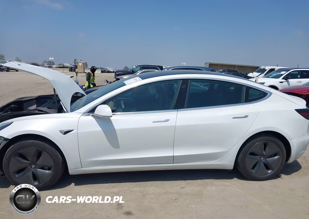 2020 Tesla Model 3 Standard Range Plus Rear-Wheel Drive-Standard Range Rear-Wheel Drive VIN:5YJ3E1EA9LF632488 - 13