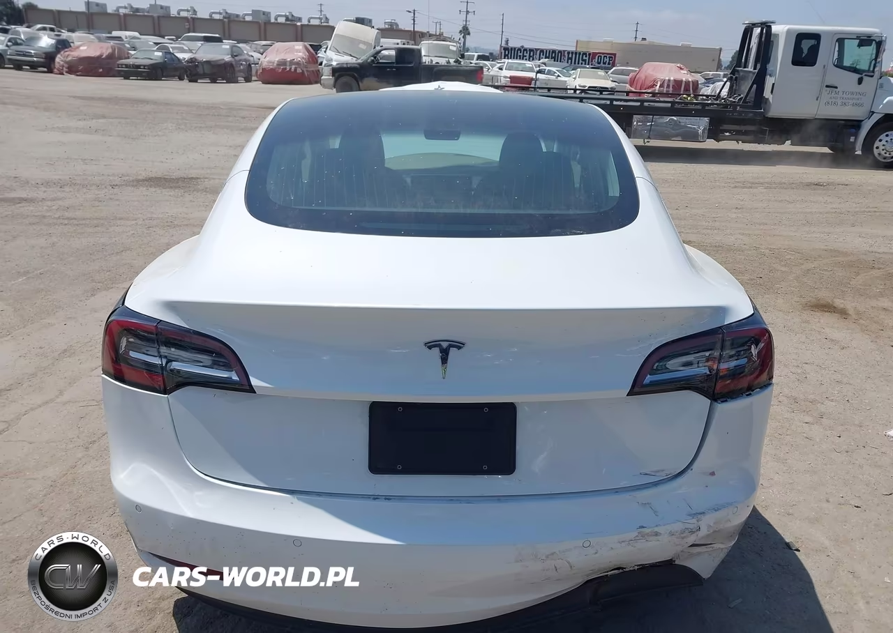 2020 Tesla Model 3 Standard Range Plus Rear-Wheel Drive-Standard Range Rear-Wheel Drive VIN:5YJ3E1EA9LF632488 - 15
