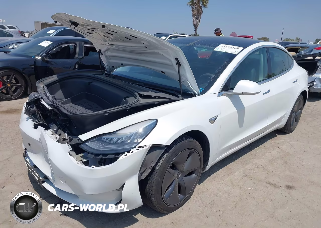 2020 Tesla Model 3 Standard Range Plus Rear-Wheel Drive-Standard Range Rear-Wheel Drive VIN:5YJ3E1EA9LF632488 - 2