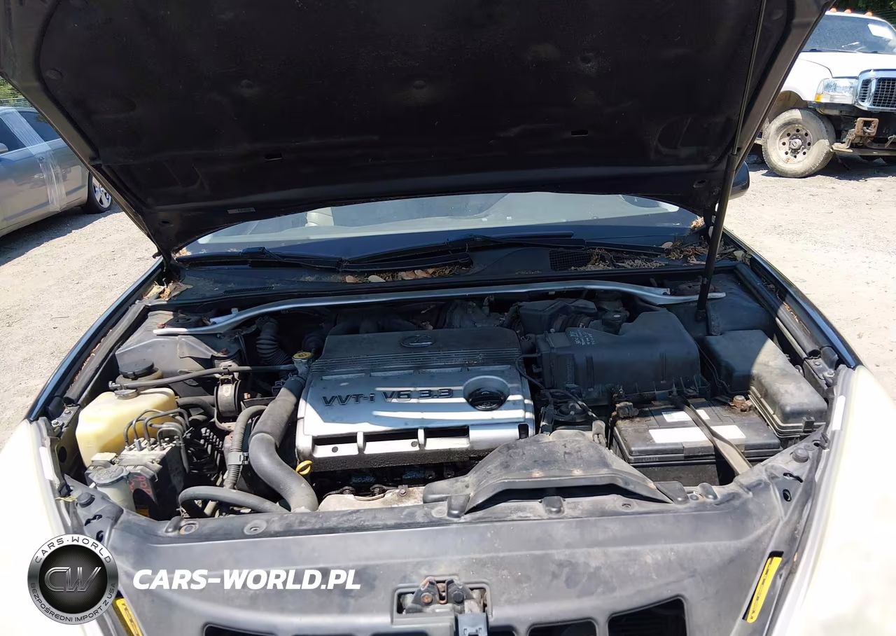 2004 Lexus Es 330 VIN:JTHBA30GX45025032 - 10
