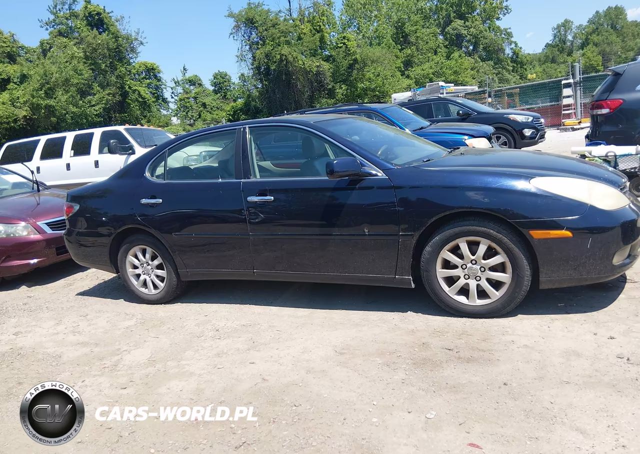 2004 Lexus Es 330 VIN:JTHBA30GX45025032 - 6