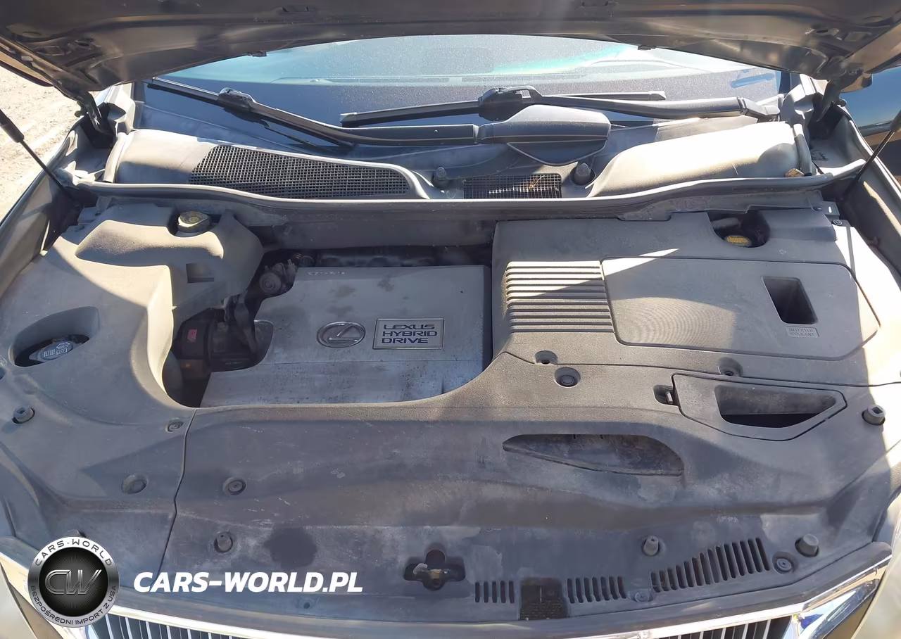 2010 Lexus Rx 450H VIN:JTJBC1BA6A2009784 - 10
