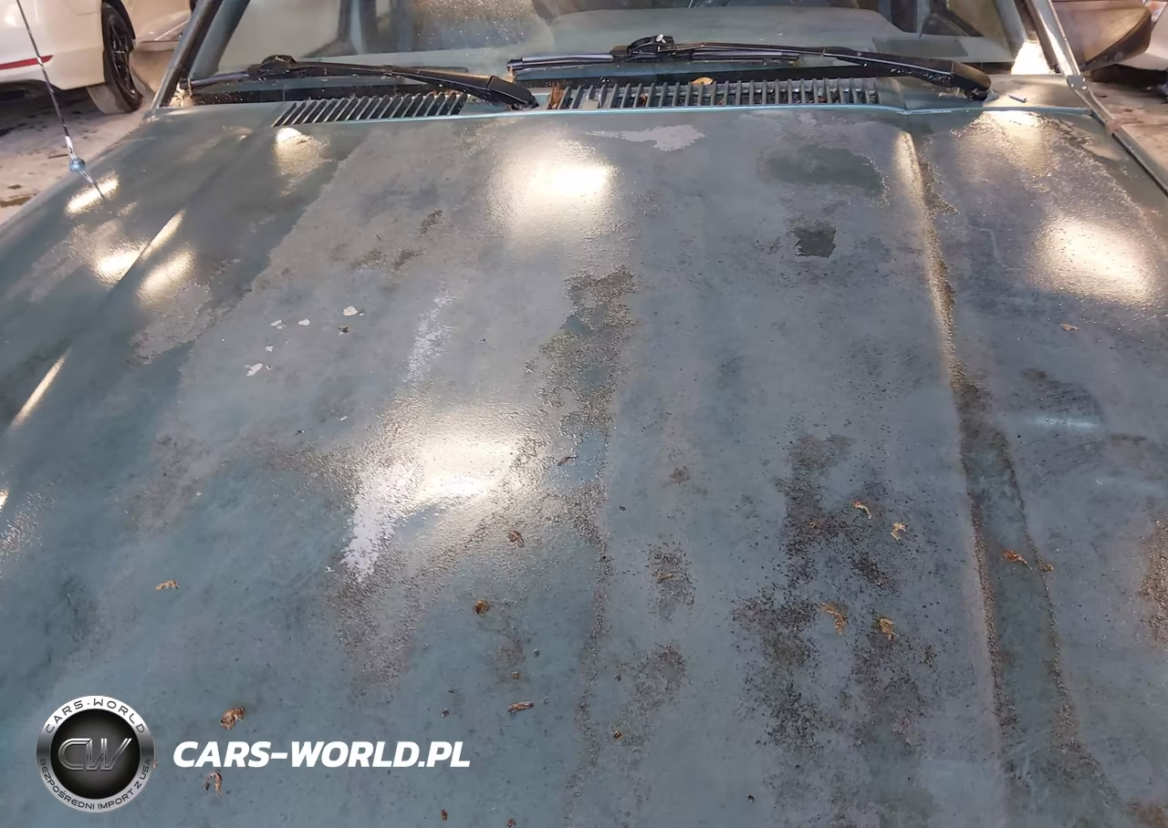 1989 Chevrolet Cavalier VIN:1G1JC5119K7155679 - 12