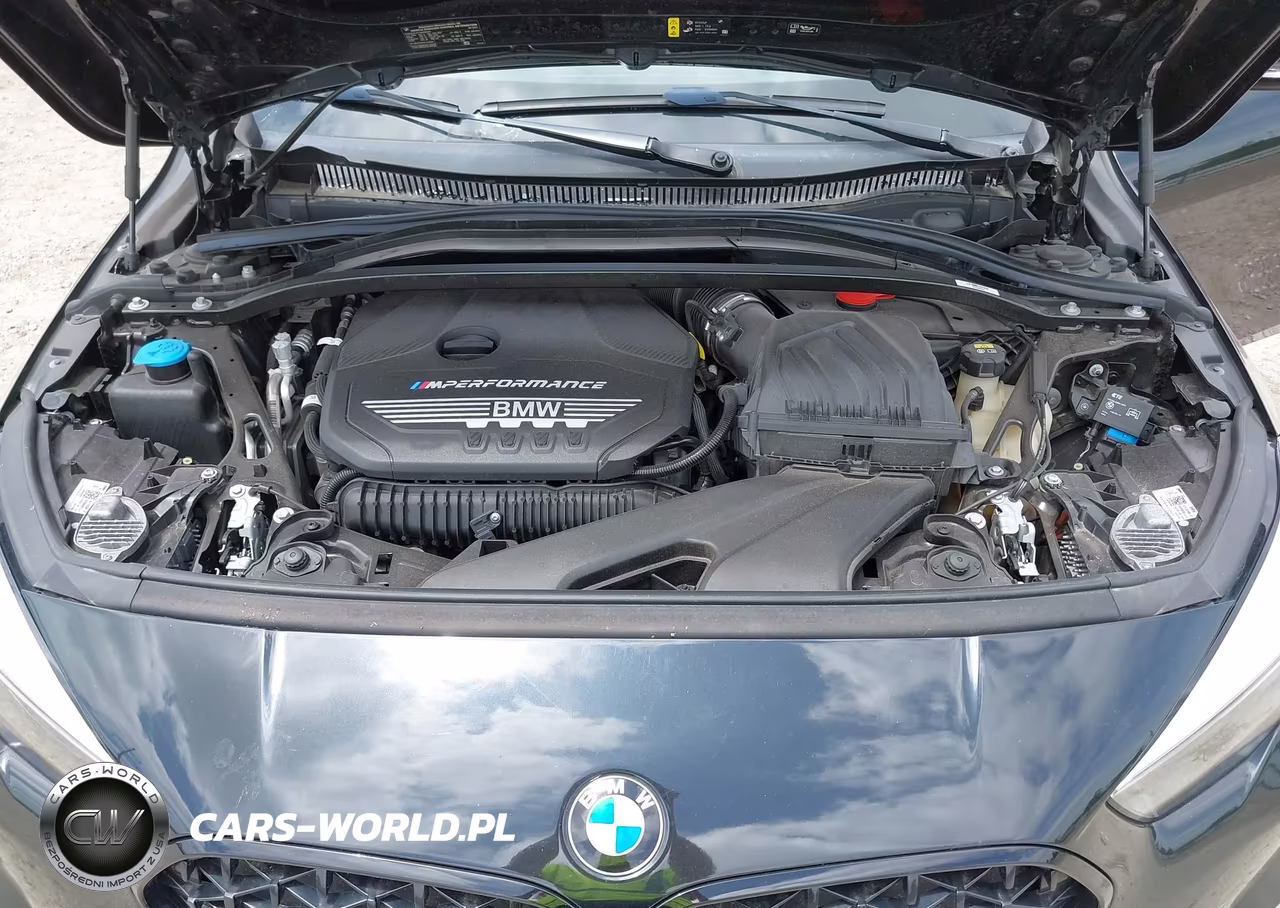 2021 BMW M235I Gran Coupe xDrive VIN:WBA13AL02M7G65606 - 10
