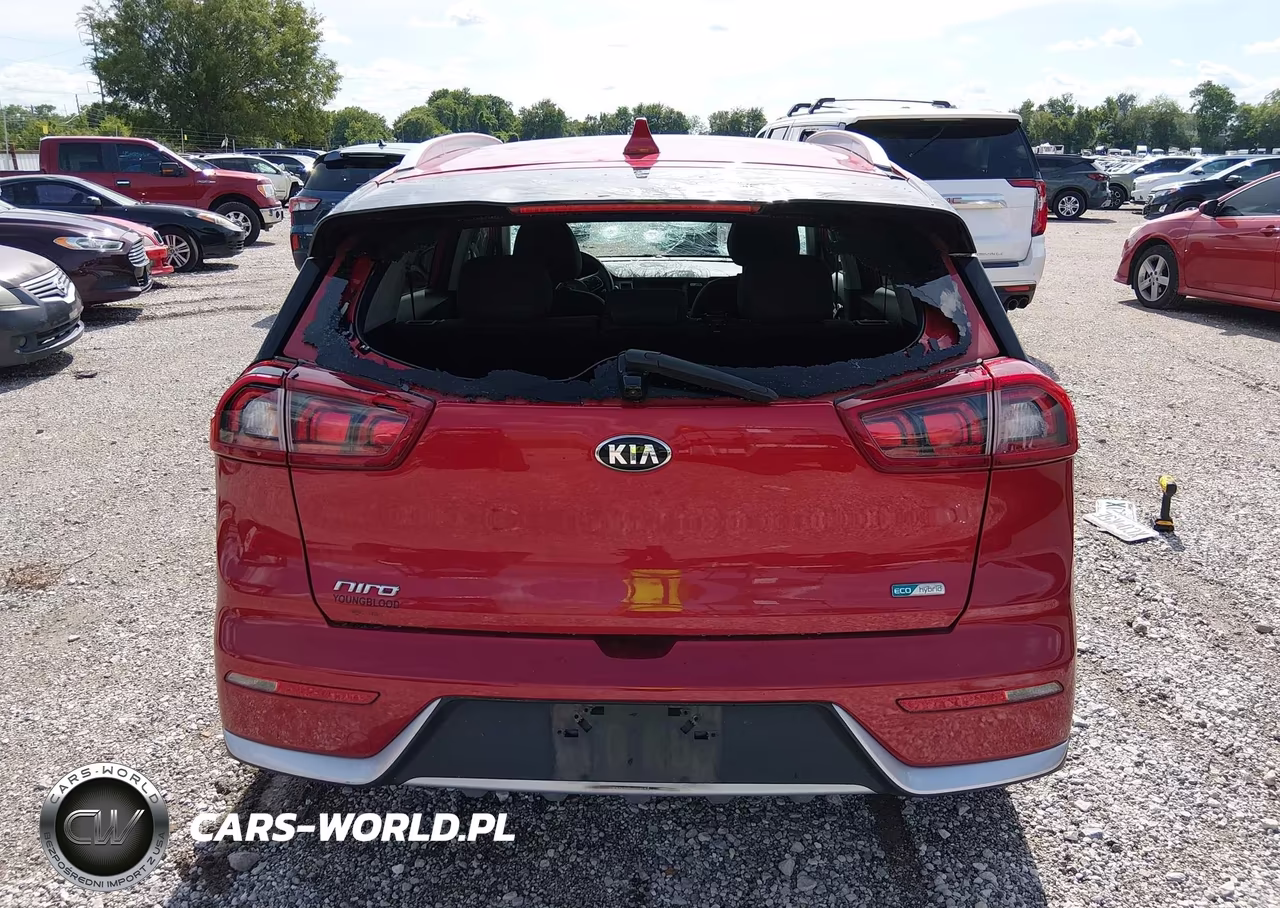 2019 Kia Niro Lx VIN:KNDCB3LC8K5218630 - 16