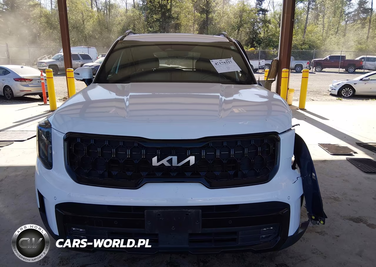 2024 Kia Telluride Sx Prestige X-Pro VIN:5XYP5DGC2RG459299 - 13