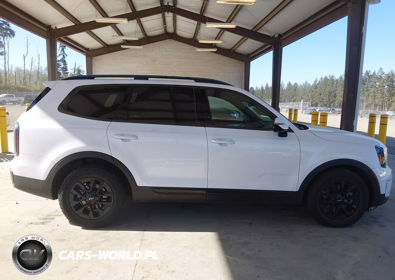 2024 Kia Telluride Sx Prestige X-Pro VIN:5XYP5DGC2RG459299 - 14
