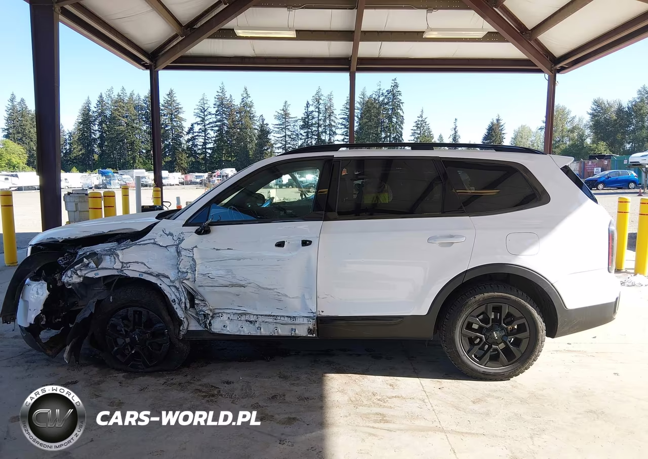 2024 Kia Telluride Sx Prestige X-Pro VIN:5XYP5DGC2RG459299 - 15