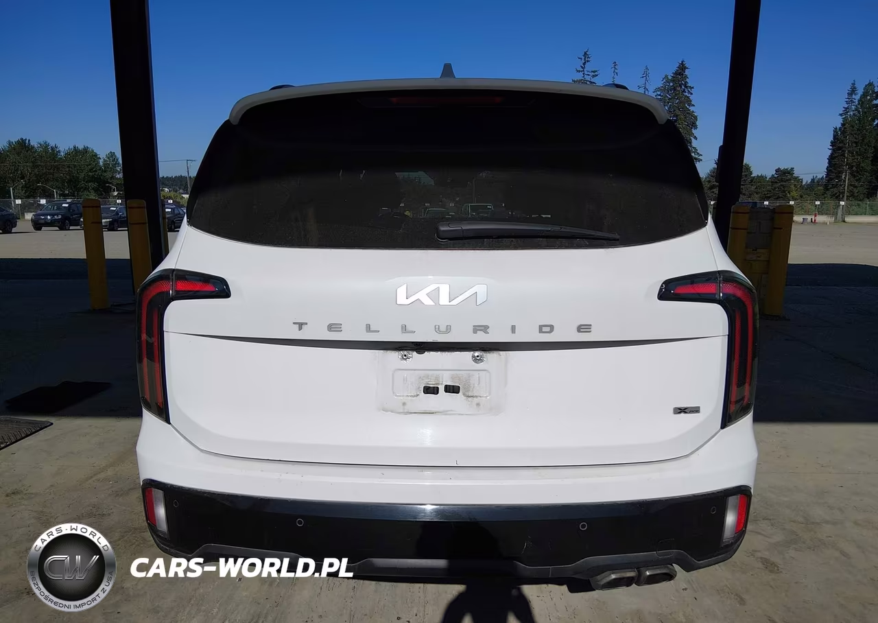 2024 Kia Telluride Sx Prestige X-Pro VIN:5XYP5DGC2RG459299 - 17