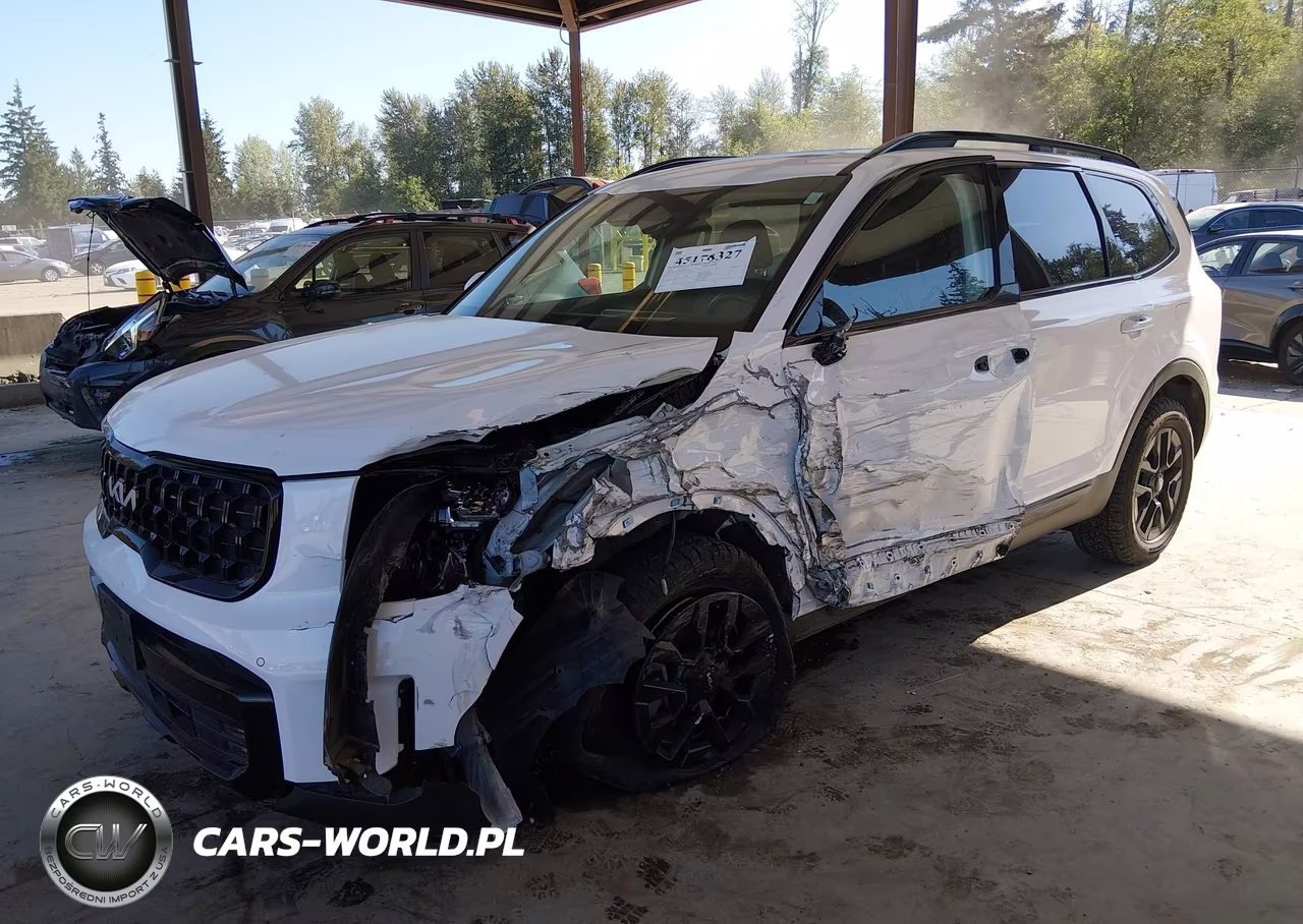 2024 Kia Telluride Sx Prestige X-Pro VIN:5XYP5DGC2RG459299 - 2