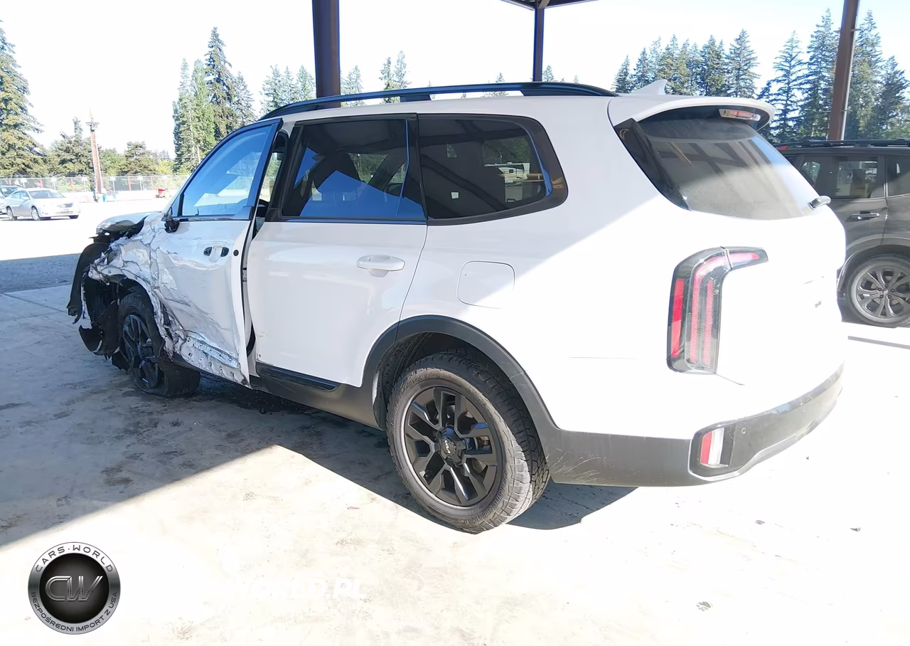 2024 Kia Telluride Sx Prestige X-Pro VIN:5XYP5DGC2RG459299 - 3