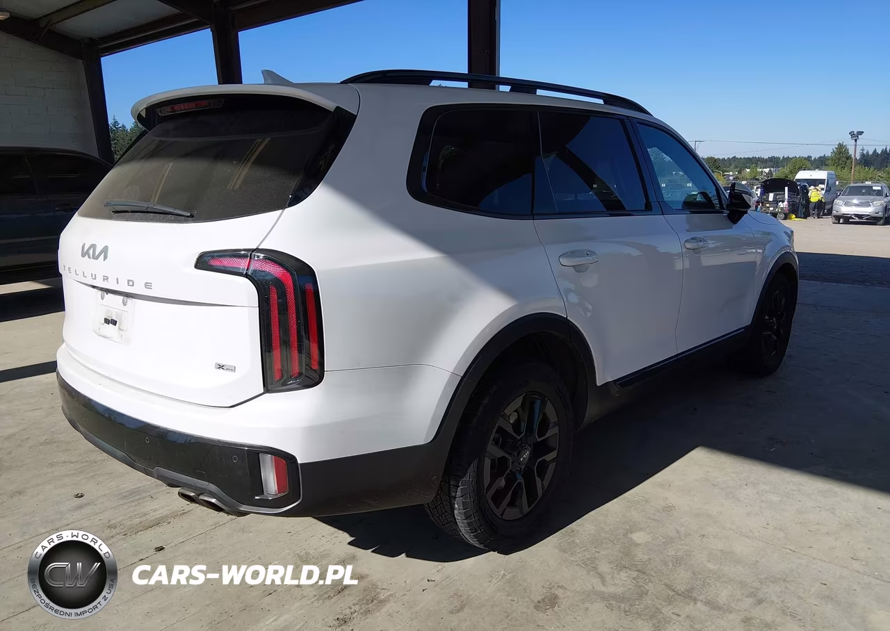 2024 Kia Telluride Sx Prestige X-Pro VIN:5XYP5DGC2RG459299 - 4