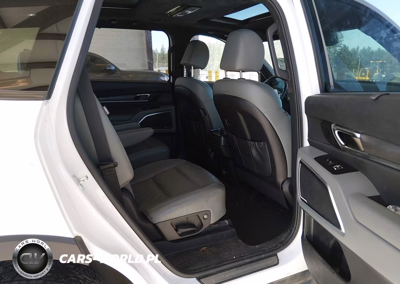 2024 Kia Telluride Sx Prestige X-Pro VIN:5XYP5DGC2RG459299 - 8