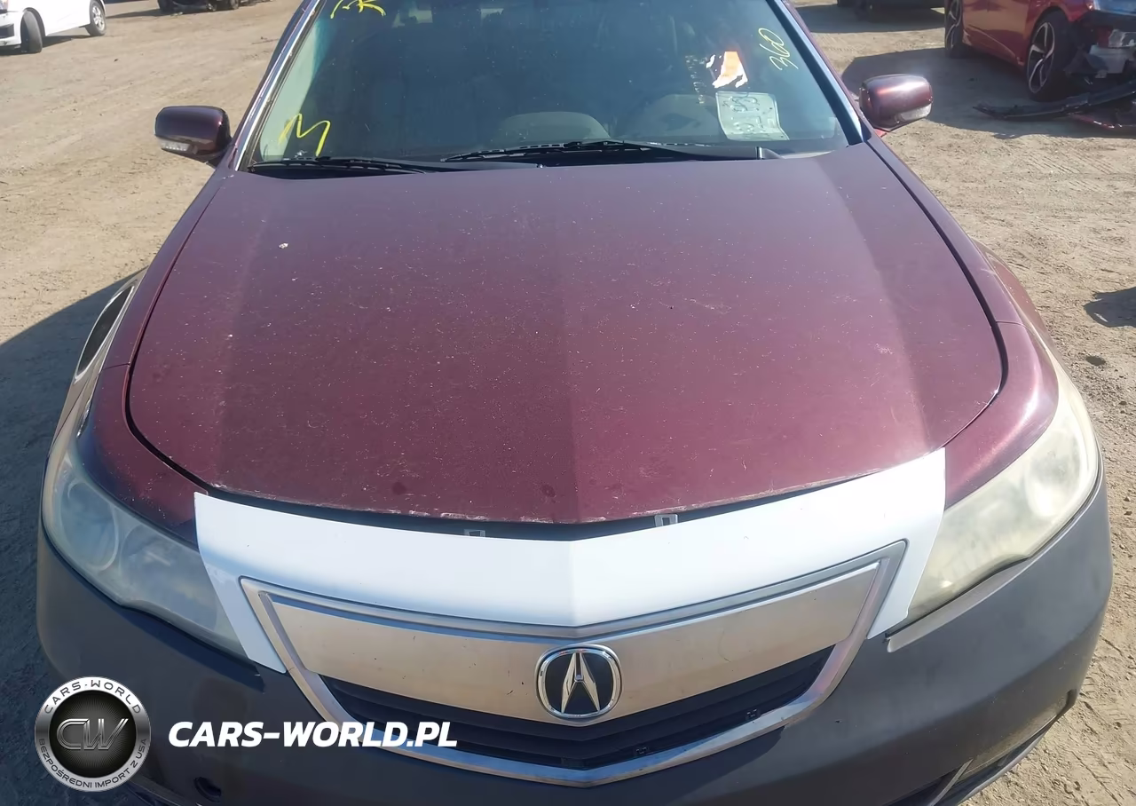 2010 Acura Tl 3.7 VIN:19UUA9F57AA004694 - 10