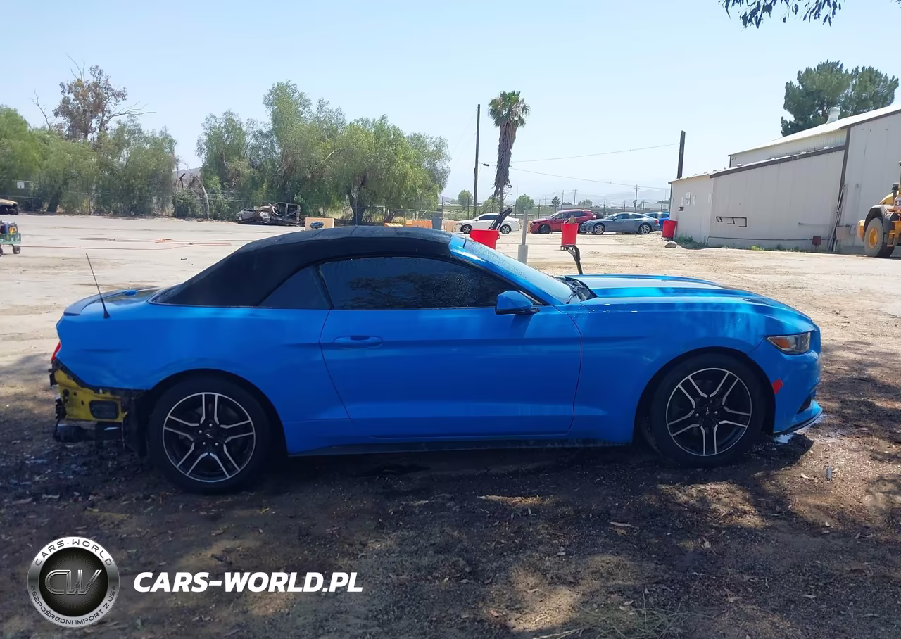 2016 Ford Mustang Ecoboost Premium VIN:1FATP8UHXG5282111 - 13