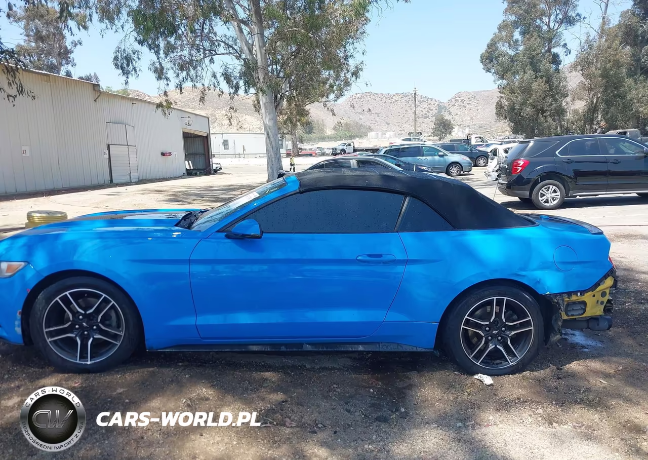 2016 Ford Mustang Ecoboost Premium VIN:1FATP8UHXG5282111 - 14