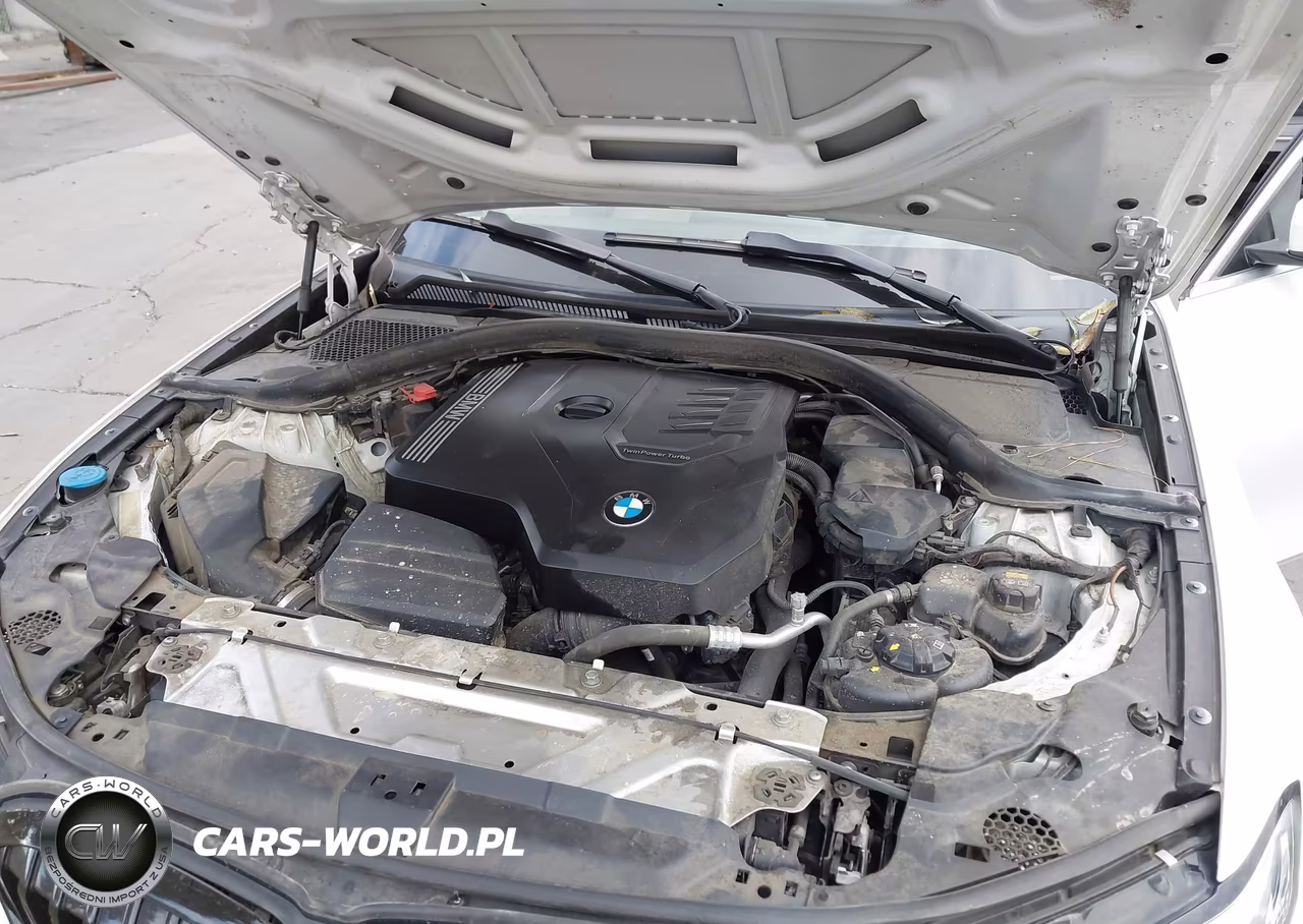 2019 BMW 330I VIN:WBA5R1C50KFH11528 - 10
