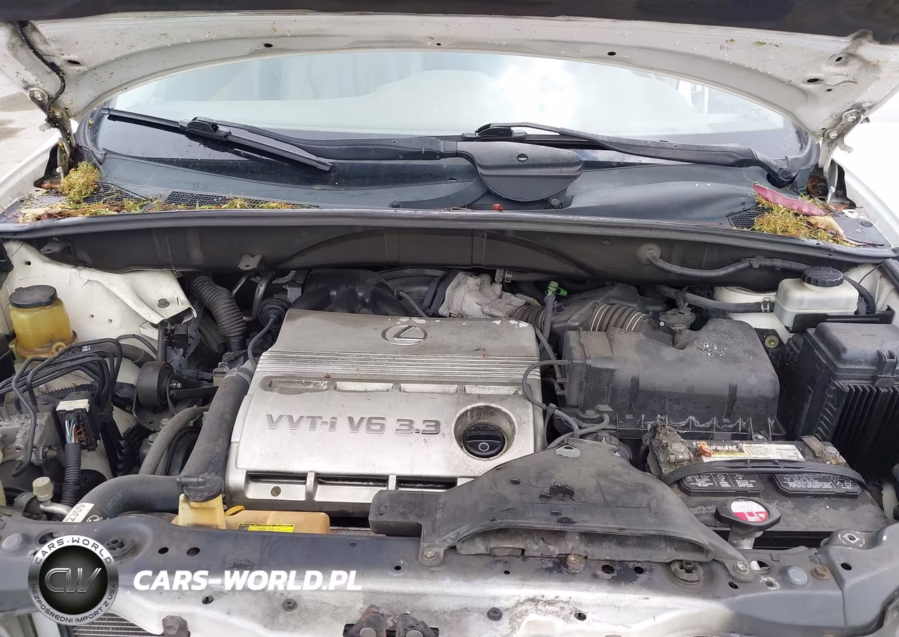 2005 Lexus Rx 330 VIN:2T2HA31U05C071100 - 10
