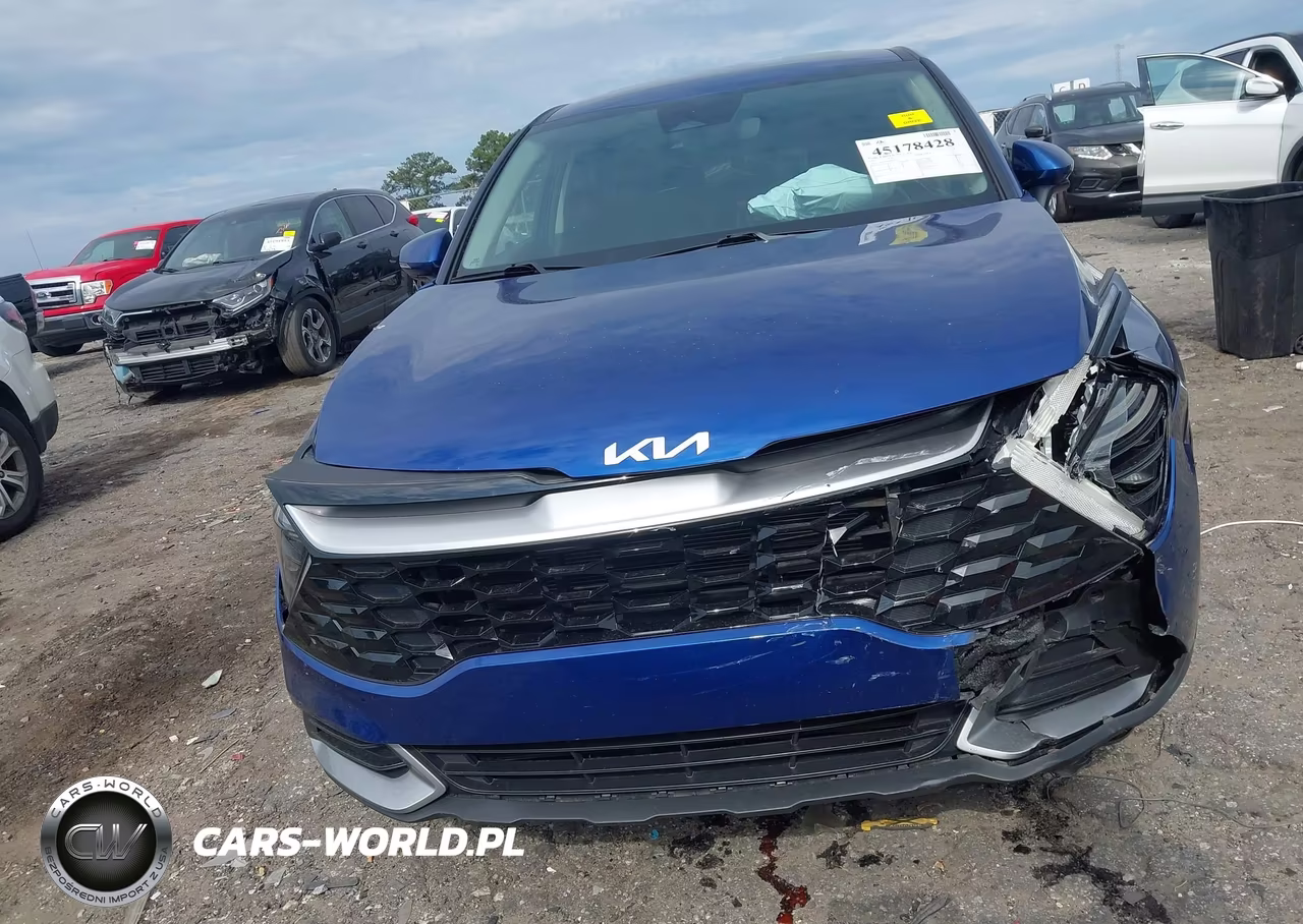 2024 Kia Sportage Ex VIN:5XYK33DF0RG161892 - 12