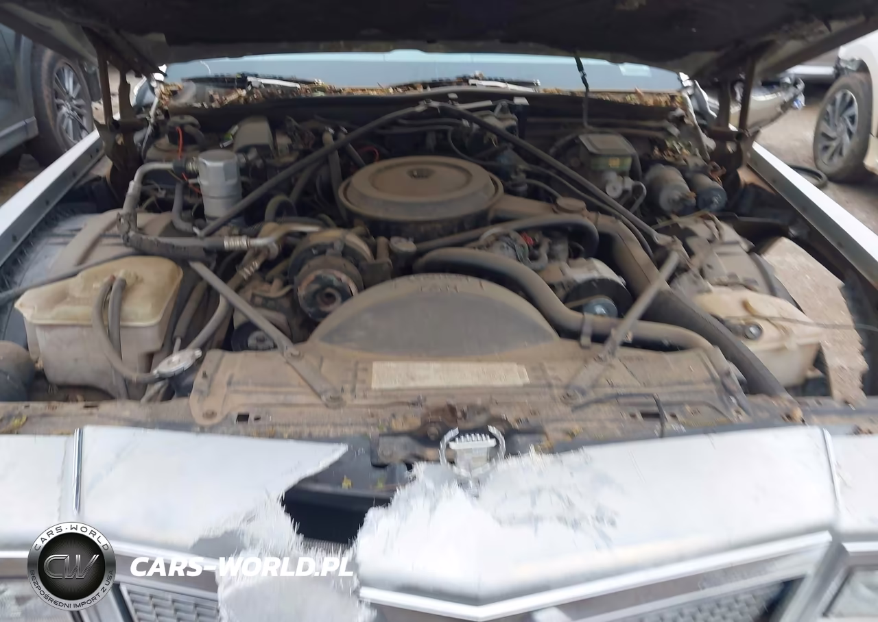 1988 Cadillac Brougham VIN:1G6DW51Y2J9702810 - 10