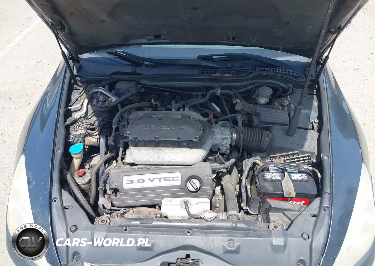 2004 Honda Accord 3.0 Ex VIN:1HGCM66534A104393 - 10