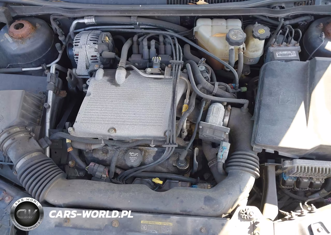 2004 Chevrolet Malibu Maxx Ls VIN:1G1ZT62894F166243 - 10