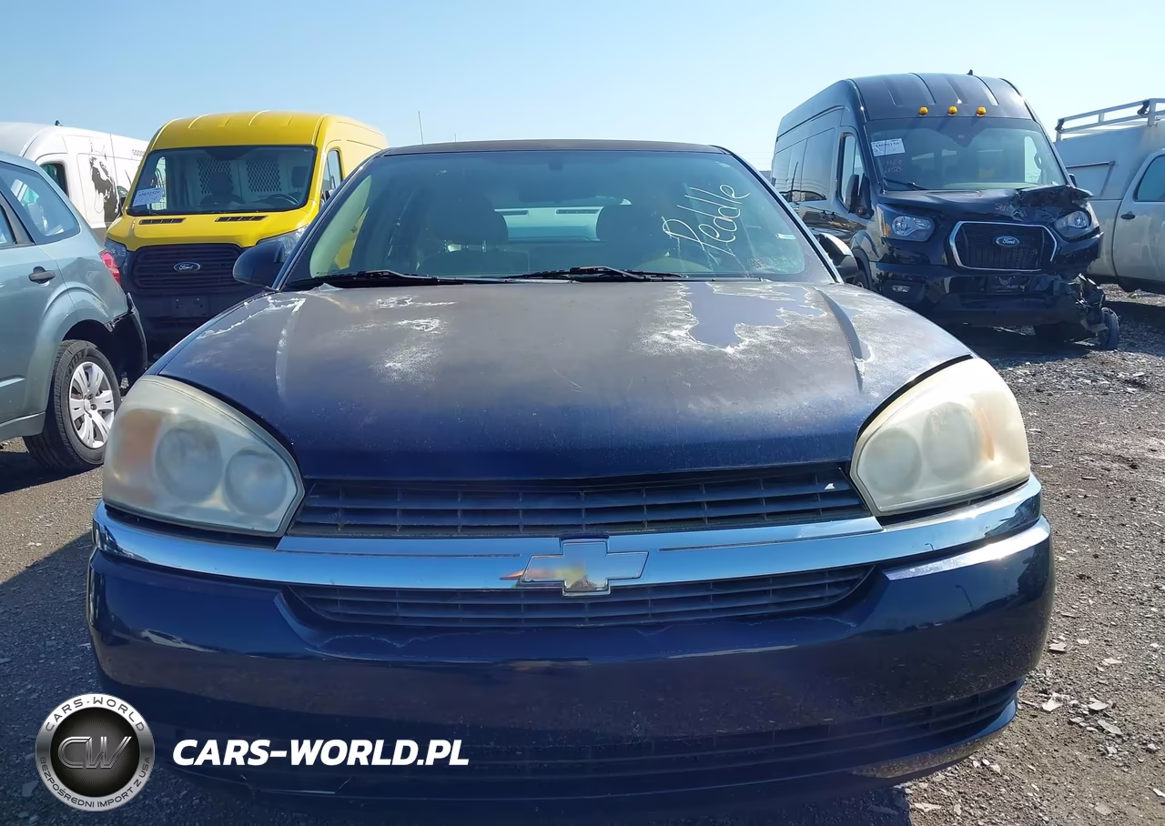 2004 Chevrolet Malibu Maxx Ls VIN:1G1ZT62894F166243 - 6
