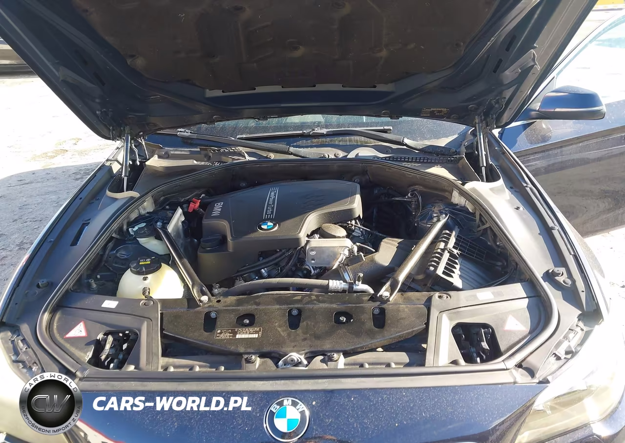 2014 BMW 528I VIN:WBA5A5C52ED507762 - 10