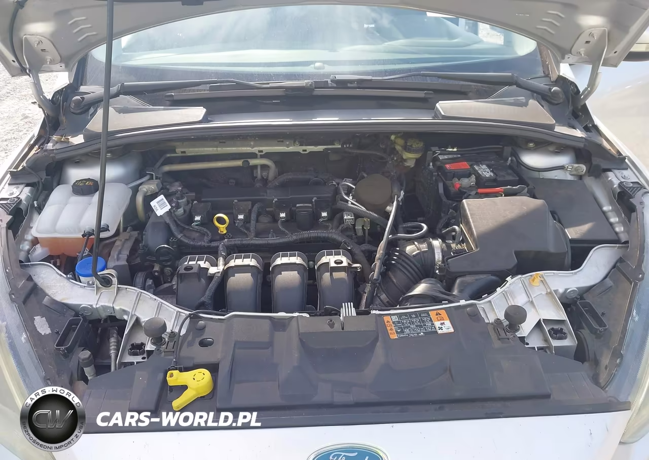 2015 Ford Focus Se VIN:1FADP3K23FL283035 - 10
