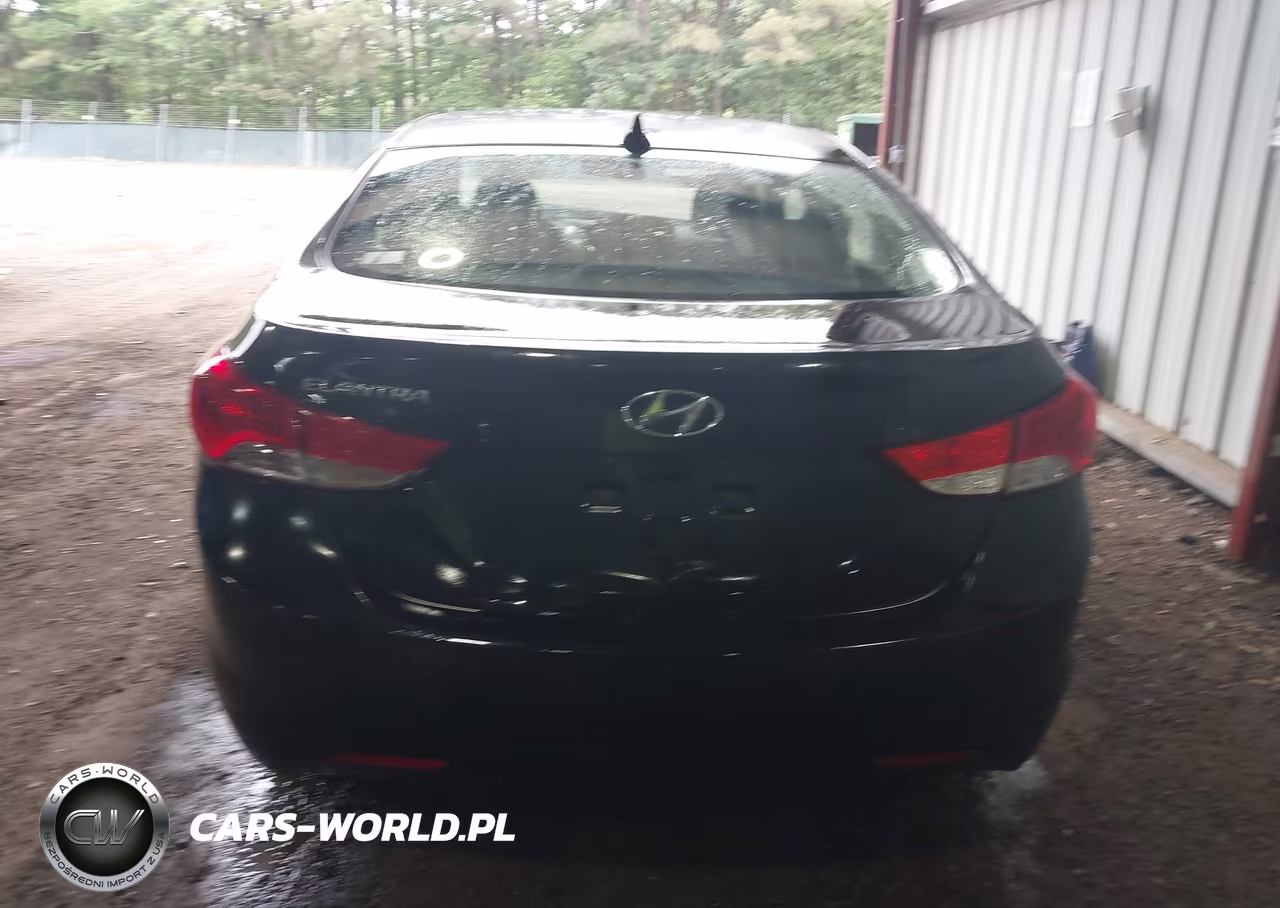 2013 Hyundai Elantra Gls VIN:KMHDH4AE2DU859936 - 17