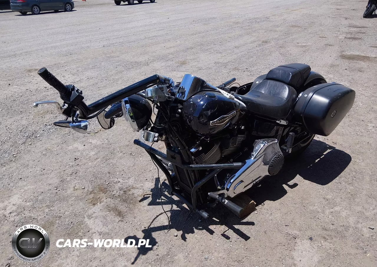 2020 Harley-Davidson Flsb VIN:1HD1YMJ23LB019864 - 2