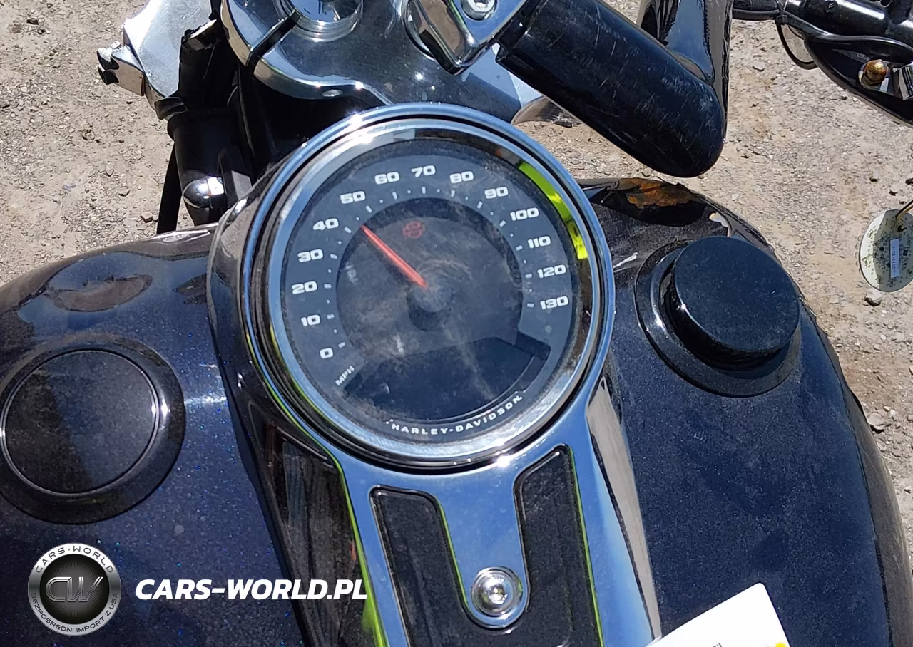 2020 Harley-Davidson Flsb VIN:1HD1YMJ23LB019864 - 7