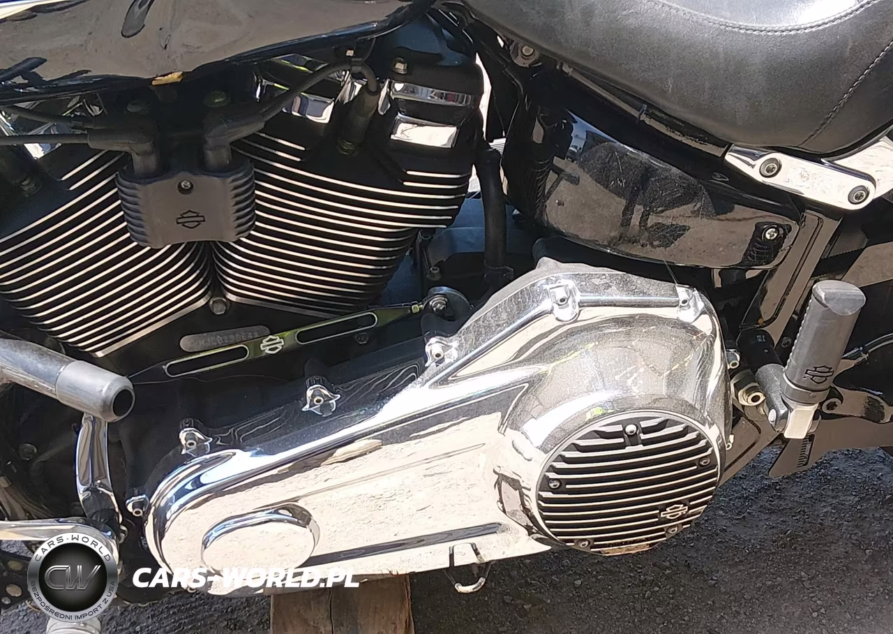 2020 Harley-Davidson Flsb VIN:1HD1YMJ23LB019864 - 9