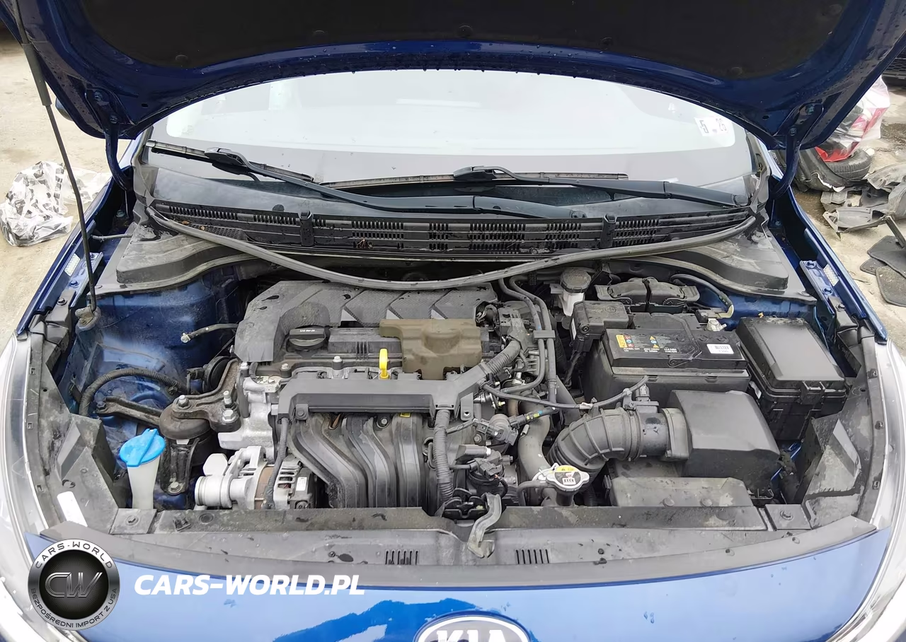 2020 Kia Rio 5-Door S VIN:3KPA25AD4LE268218 - 10