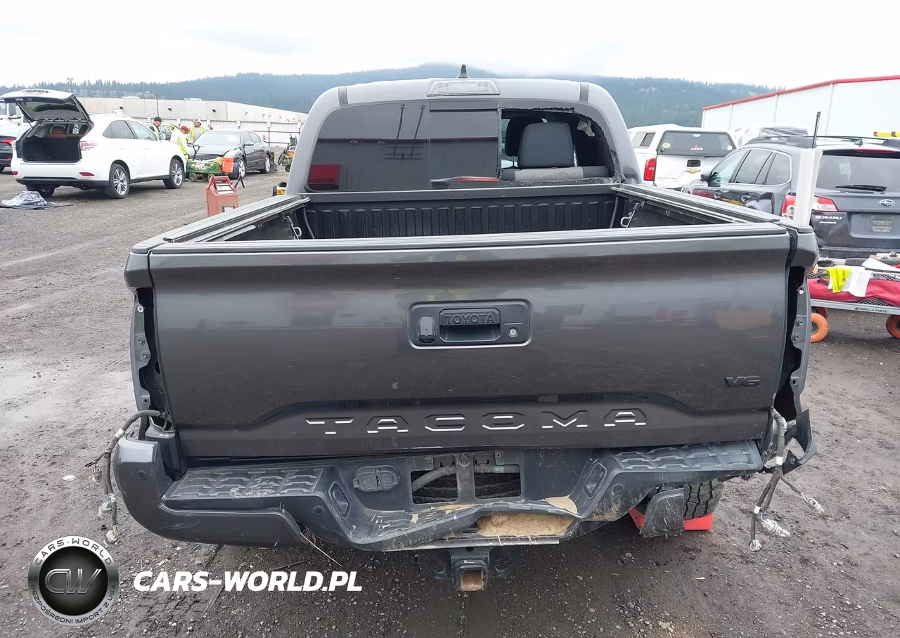 2020 Toyota Tacoma Trd Sport VIN:5TFCZ5AN7LX216014 - 17