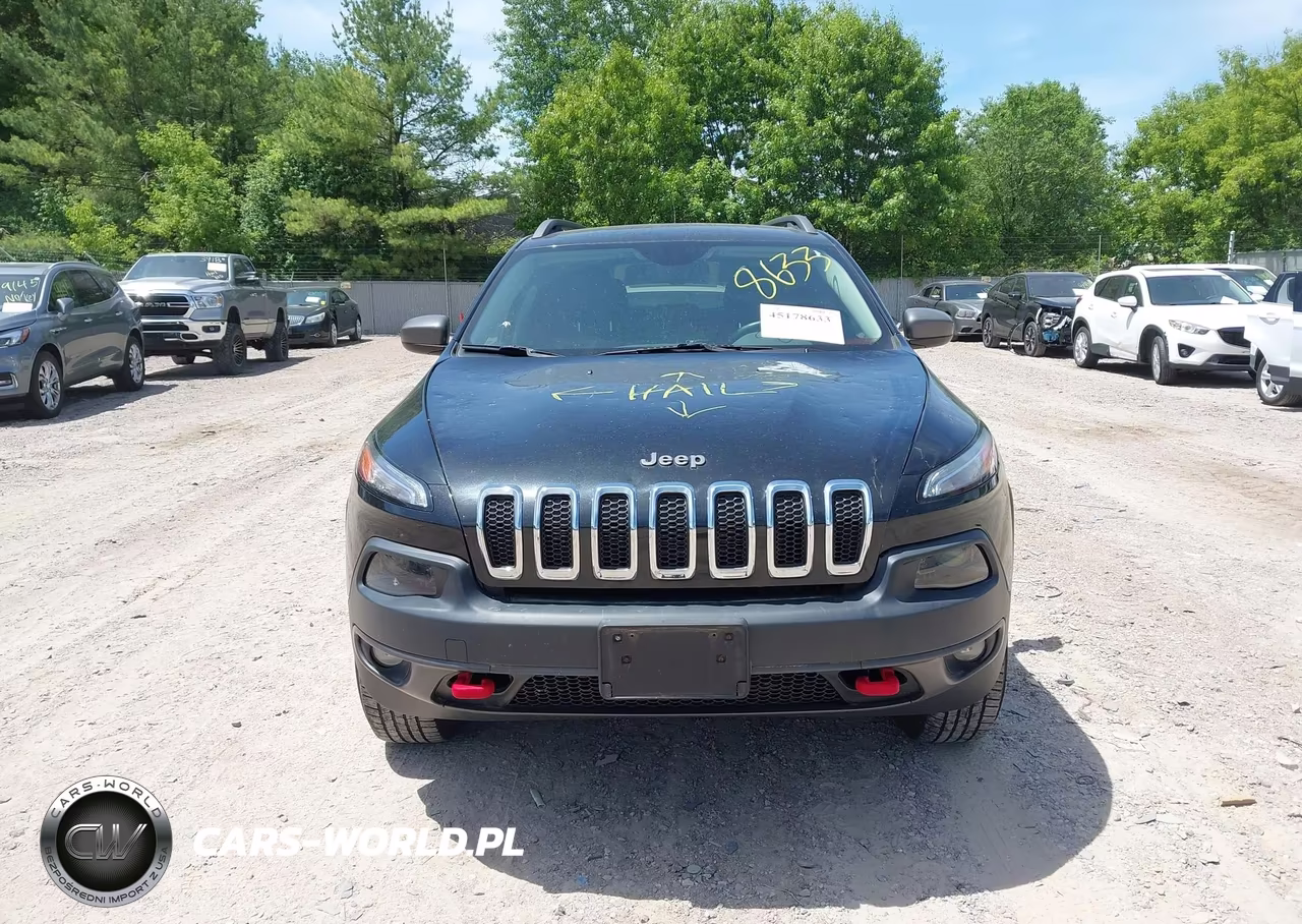 2014 Jeep Cherokee Trailhawk VIN:1C4PJMBSXEW161591 - 12