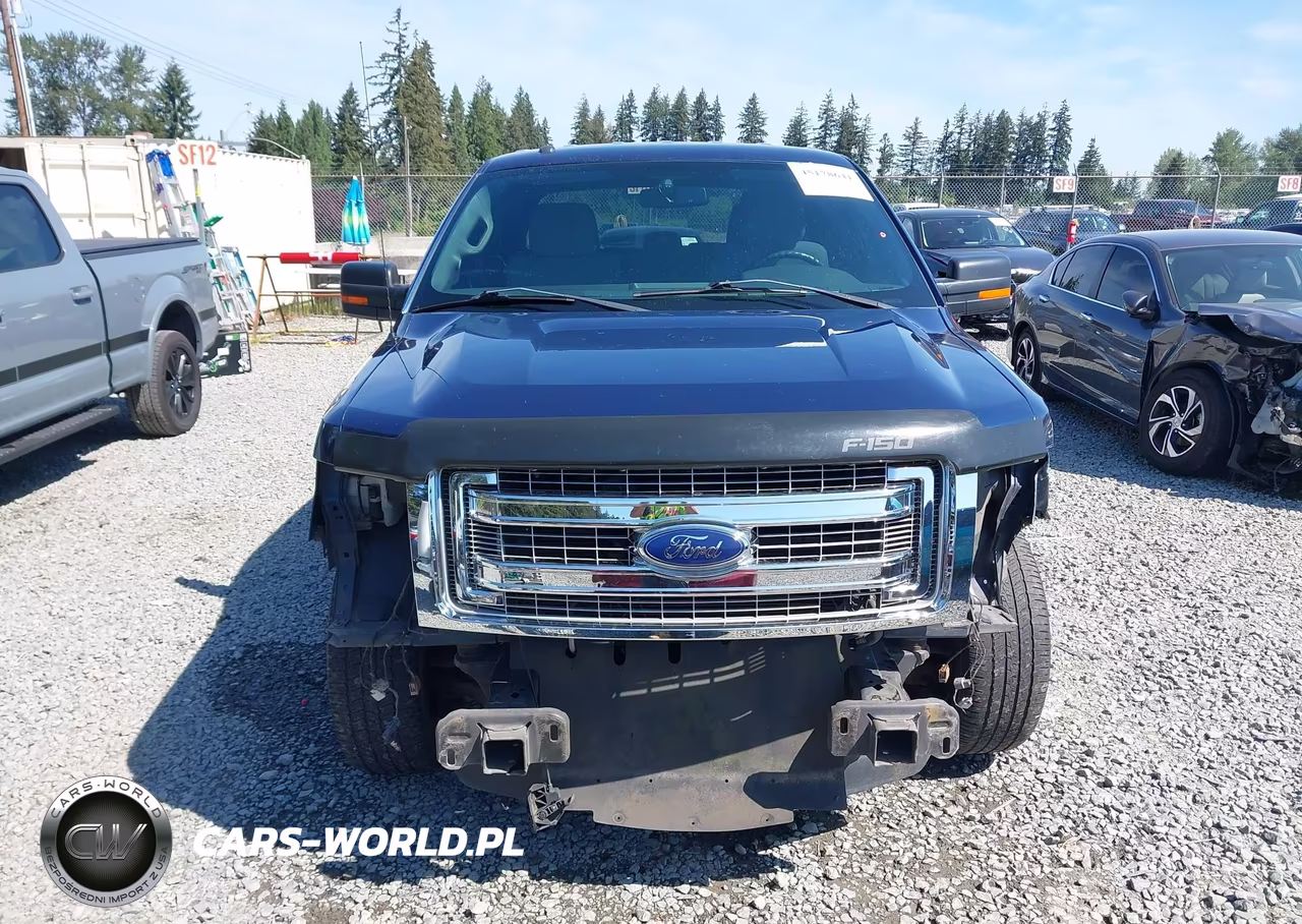 2014 Ford F-150 Xlt VIN:1FTEX1CM8EFA63082 - 13