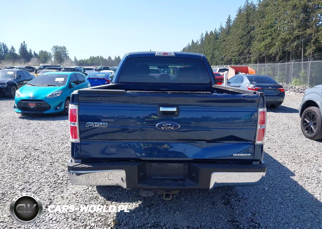 2014 Ford F-150 Xlt VIN:1FTEX1CM8EFA63082 - 17