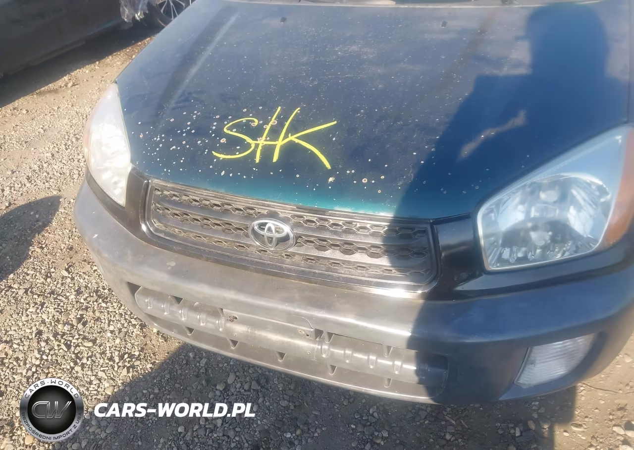 2001 Toyota Rav4 VIN:JTEHH20V910125949 - 6