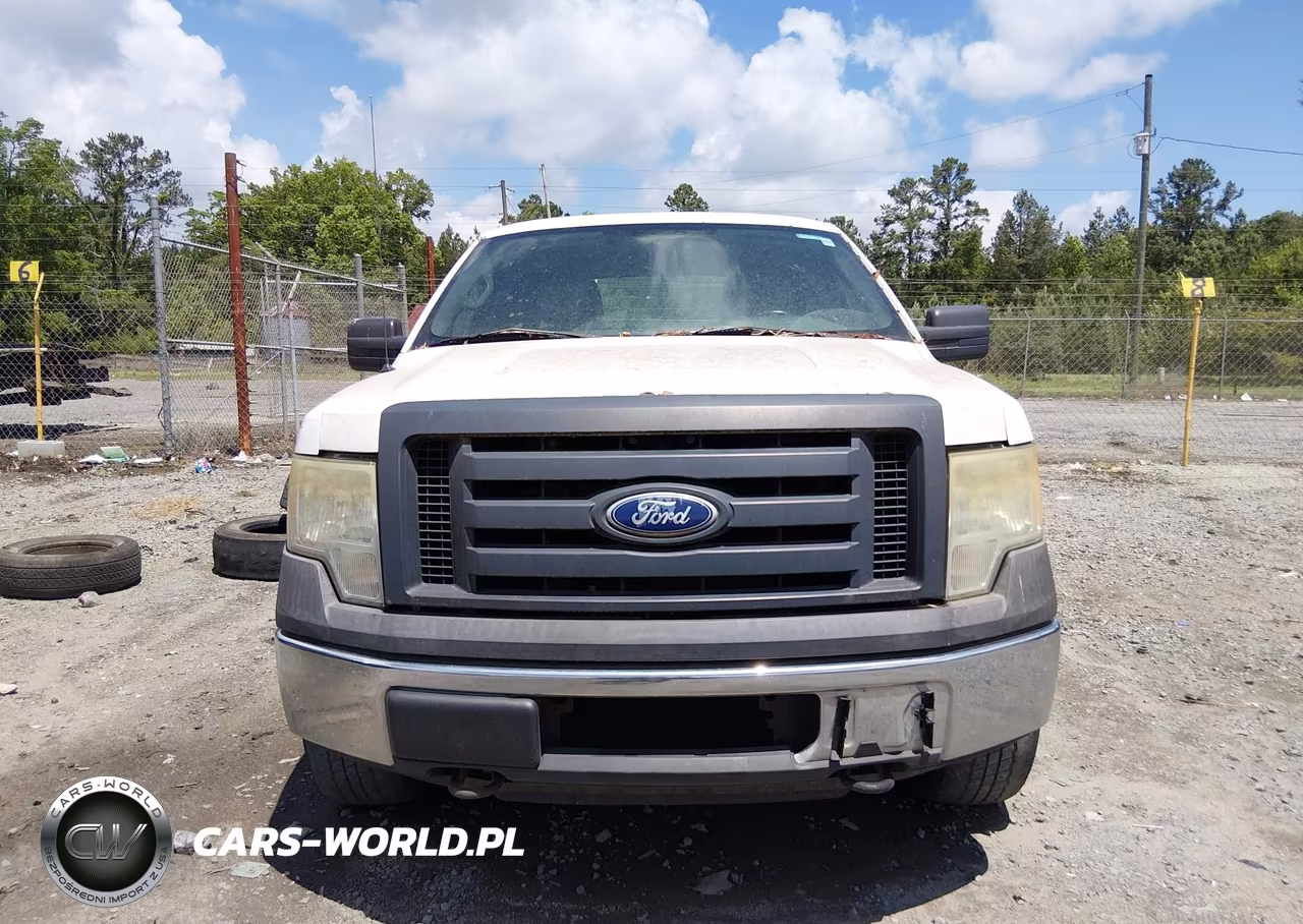 2010 Ford F-150 Xl-Xlt VIN:1FTEW1E8XAFC05221 - 12