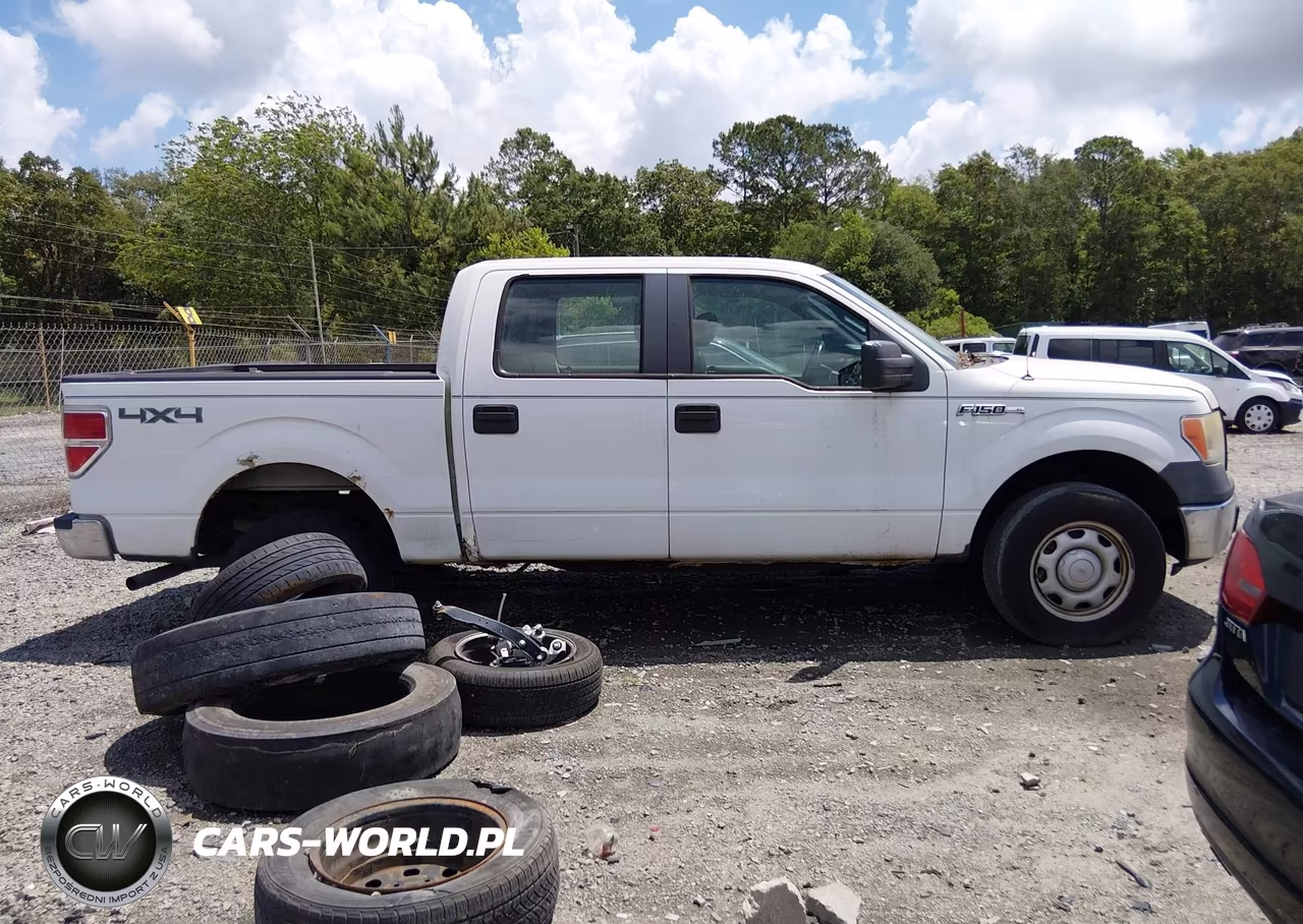 2010 Ford F-150 Xl-Xlt VIN:1FTEW1E8XAFC05221 - 13