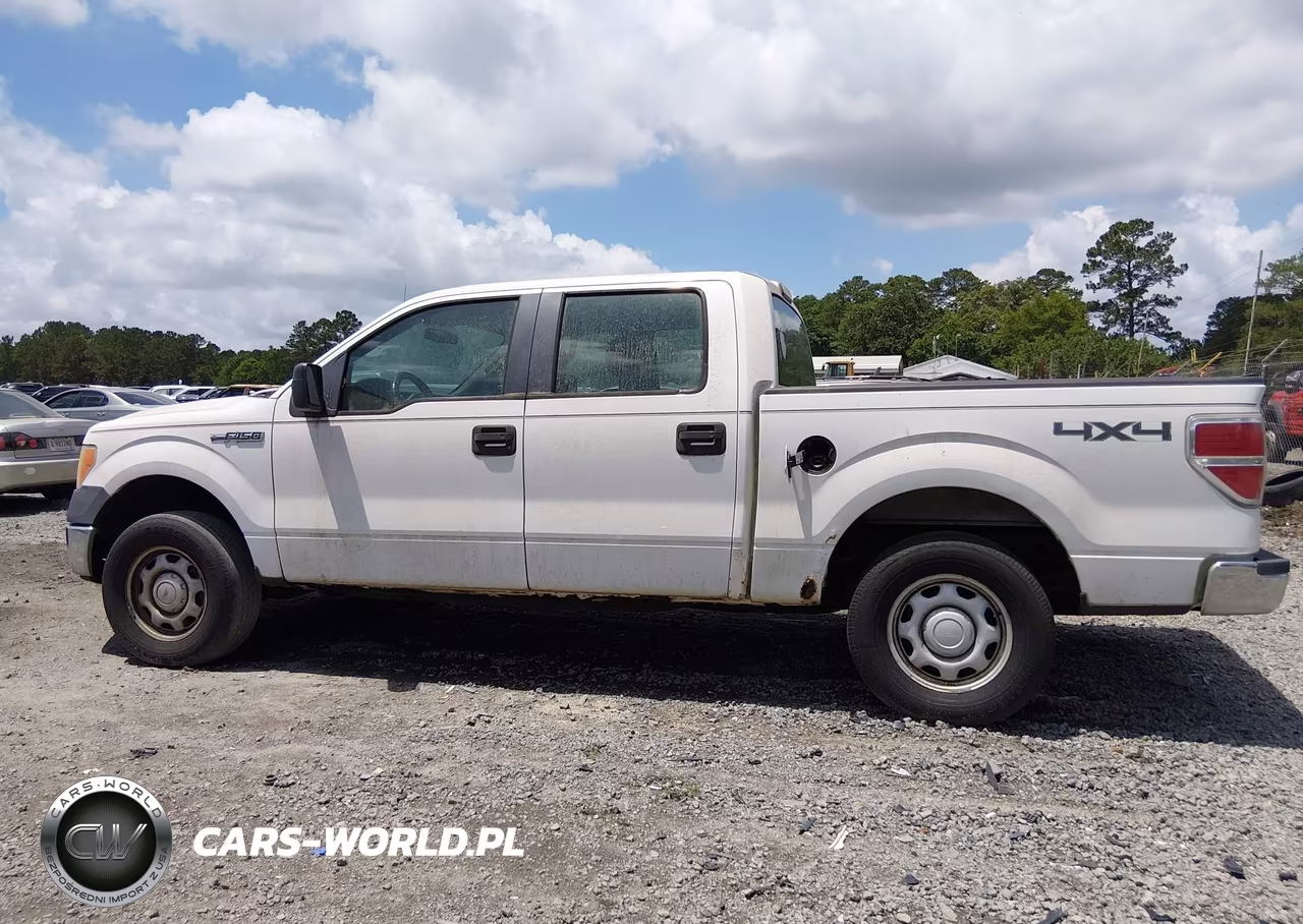 2010 Ford F-150 Xl-Xlt VIN:1FTEW1E8XAFC05221 - 14
