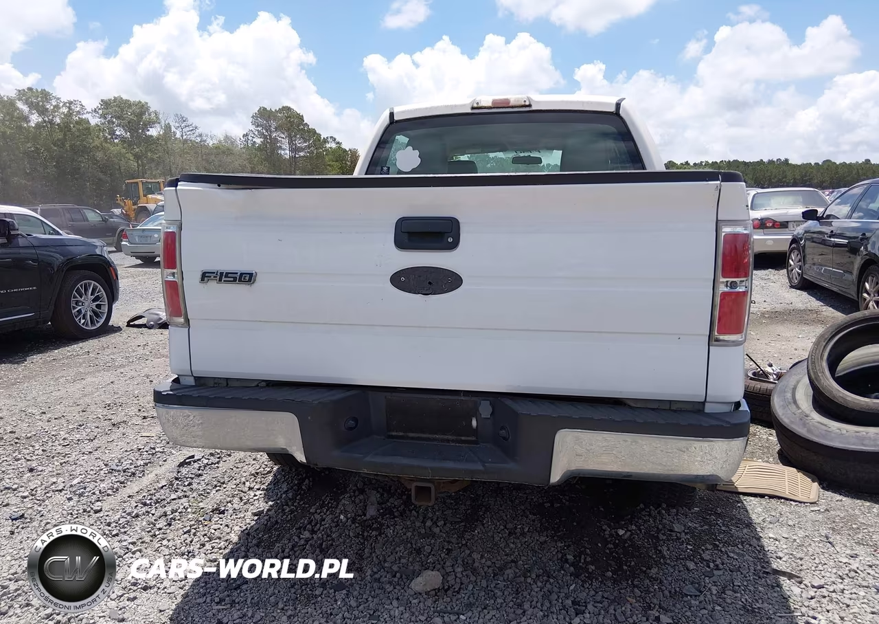 2010 Ford F-150 Xl-Xlt VIN:1FTEW1E8XAFC05221 - 16