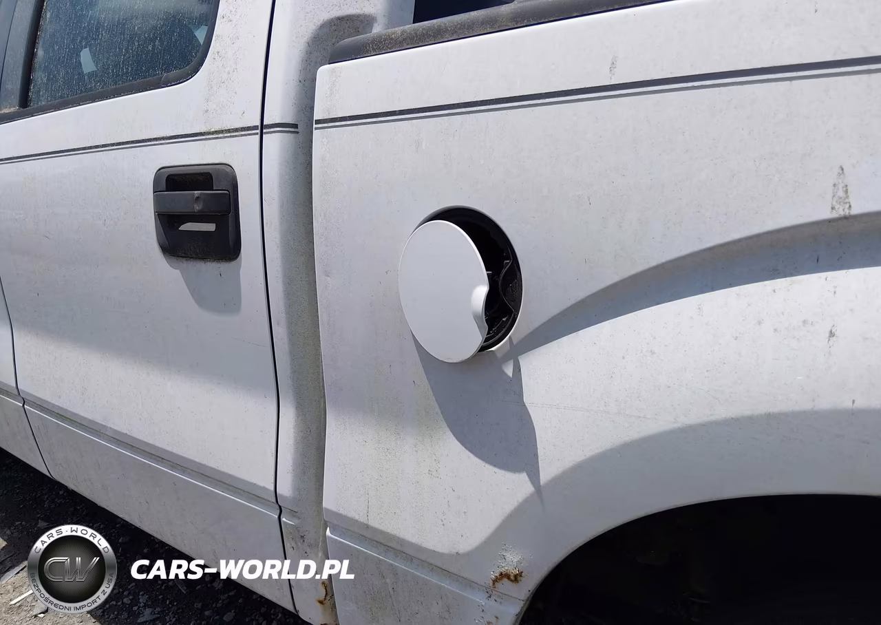 2010 Ford F-150 Xl-Xlt VIN:1FTEW1E8XAFC05221 - 17