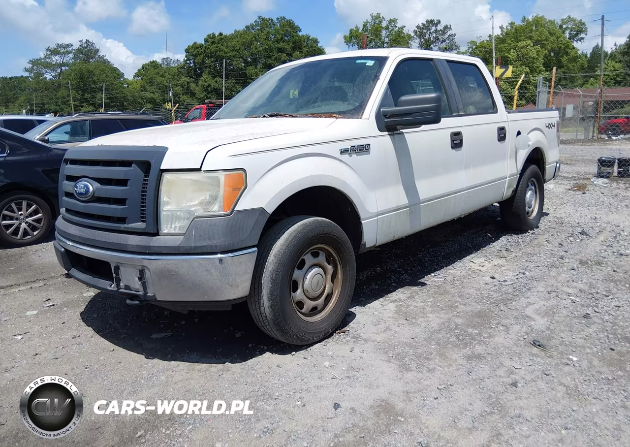 2010 Ford F-150 Xl-Xlt VIN:1FTEW1E8XAFC05221 - 2