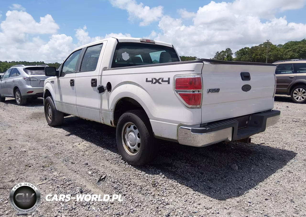 2010 Ford F-150 Xl-Xlt VIN:1FTEW1E8XAFC05221 - 3