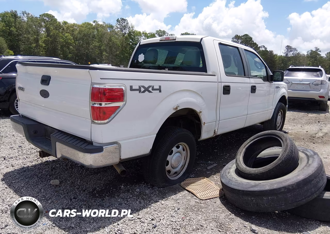 2010 Ford F-150 Xl-Xlt VIN:1FTEW1E8XAFC05221 - 4