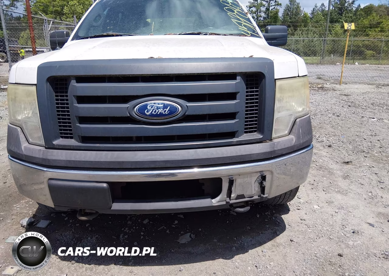 2010 Ford F-150 Xl-Xlt VIN:1FTEW1E8XAFC05221 - 6